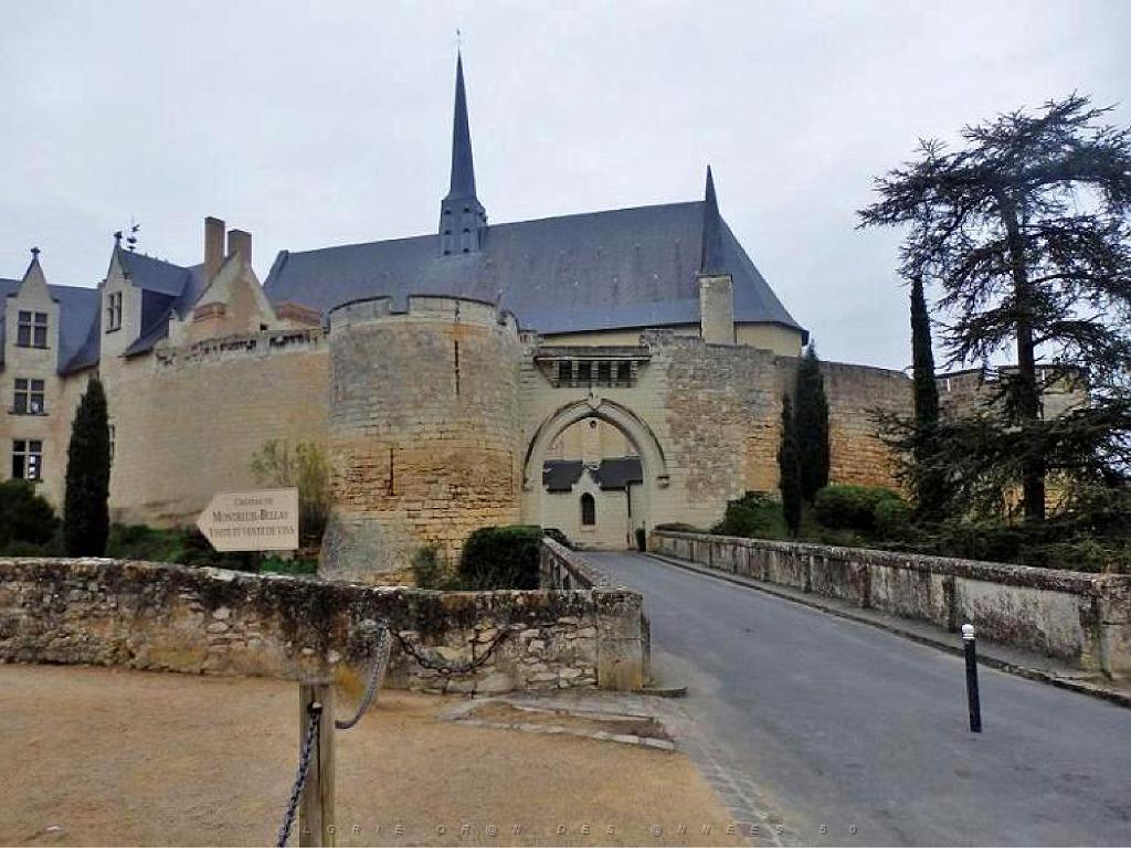 149 CHATEAU DE MONTREUIL BELLAY MAINE ET LOIRE 2016_000003.jpg
